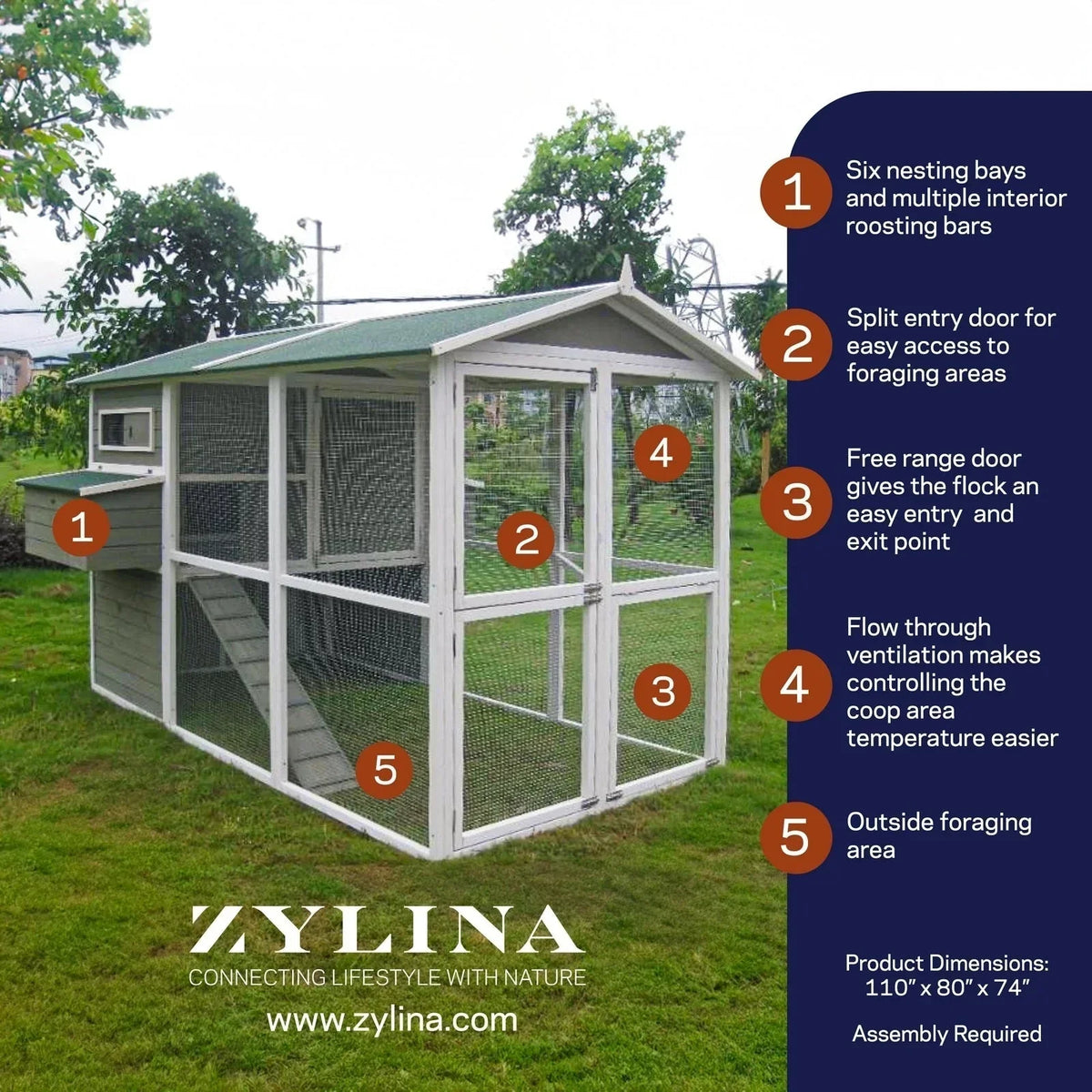 Großer grüner Hühnerstall von Zylina