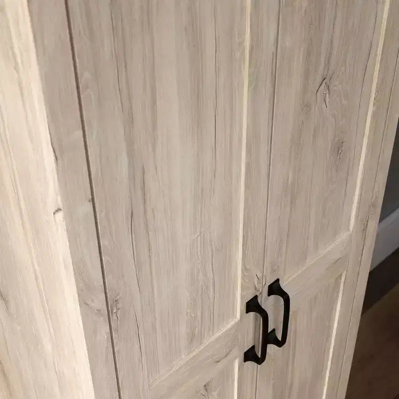 Meuble de rangement à 2 portes - Sauder